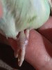 IMG_20230627_213605_1.jpg