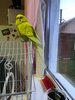 IMG_20230628_211751.jpg