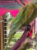IMG_20230630_130821_823.jpg