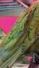 IMG_5191.jpeg