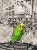 752122F7-8784-432C-B9F9-0BC5D154E985.jpeg