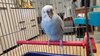 IMG_20230809_201831.jpg