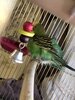 IMG_4685.jpeg