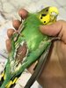 IMG_4677.jpeg