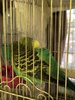 IMG_4701.jpeg