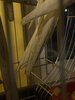 IMG_0298.jpeg