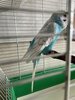 IMG_3313.jpeg