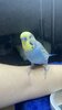 IMG_6990.jpeg