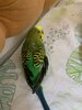 IMG_6111.jpeg
