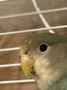 IMG_8370.jpeg