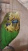 IMG-20160415-WA0002.jpg