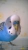 WP_20160419_006.jpg