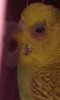 20160425_212351.jpg