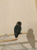 IMG_4128.jpeg