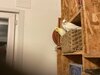 IMG_3154.jpeg