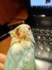 IMG_20231120_123020.jpg