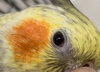 63E06766-634E-46D4-A2F1-E73D2CB75759.jpeg