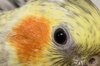 A6DB593B-E83B-46B0-A464-2D5ABE86CAAE.jpeg
