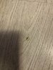 IMG_5939.jpeg
