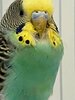 IMG_20231206_130142_738.jpg