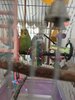 IMG_6586.jpeg