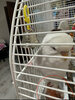 IMG_6615.jpeg