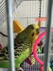 IMG_6587.jpeg