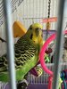 IMG_6589.jpeg