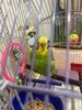 IMG_6637.jpeg