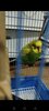 Screenshot_20231220_091735.jpg