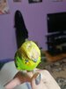 IMG_20231220_205434.jpg