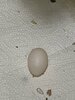 IMG_0084.jpeg