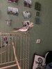 IMG_4952.jpeg