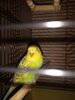 IMG_20240119_235624.jpg