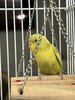 IMG_1410.jpeg