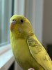 IMG_1584.jpeg