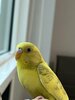 IMG_1580.jpeg