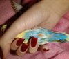 IMG_20240224_010435_931.jpg