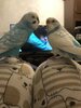 IMG_3826.jpeg