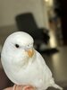 IMG_4510.jpeg