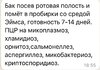 IMG_8983.jpeg