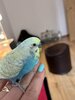 IMG_9116.jpeg