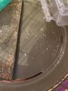 IMG_0434.jpeg