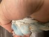 IMG_1600.jpeg