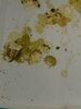 IMG_8108.jpeg