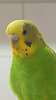IMG20240526212303.jpg