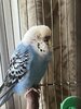 IMG_6865.jpeg