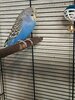 IMG_20240527_131810_330.jpg