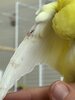 IMG_3488.jpeg