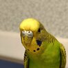 IMG_20240604_154334.jpg